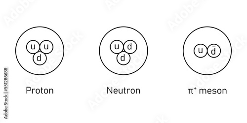 Proton neutron and meson diagram.