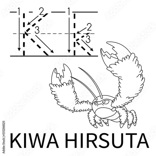 Cute Sea Animal Alphabet Series. K is for Kiwa hirsuta. Vector cartoon character design illustration.