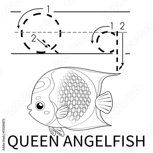 Cute Sea Animal Alphabet Series. Q is for Queen angelfish. Vector cartoon character design illustration.
