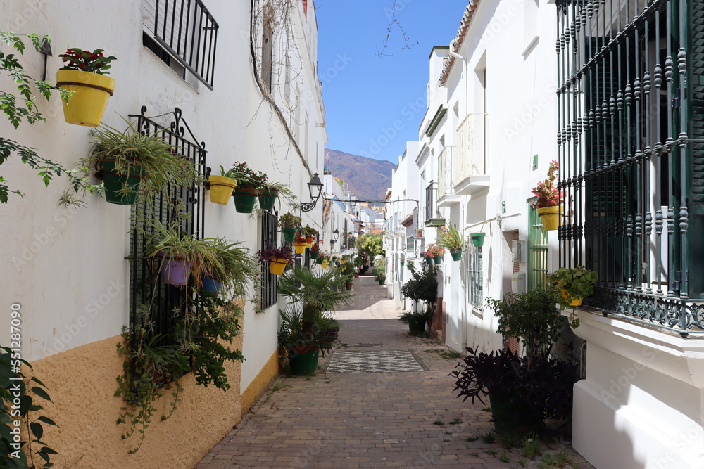 Picturesque street decorated with pots in Estepona (Malaga)