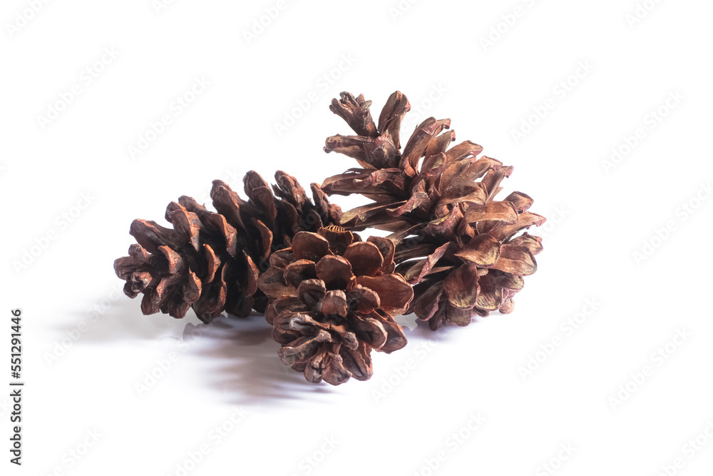 pine cones isolated on white background, christmas object equipment concept pine cones isolated on white background, christmas object equipment concept