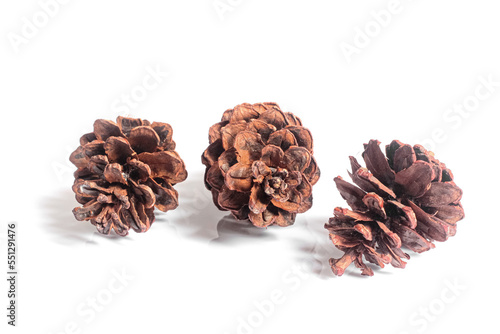 pine cones isolated on white background, christmas object equipment concept