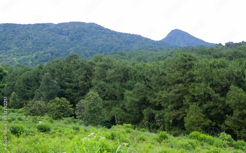 Beautiful view of Mount Gede in the morning. Beautiful view of Mount Gede in the morning.