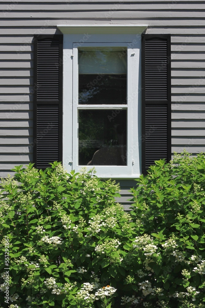colonial window of a home
