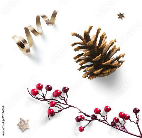 Christmas design element on transparent background; holly berry decoration, cones and golden star isolated on a white background;