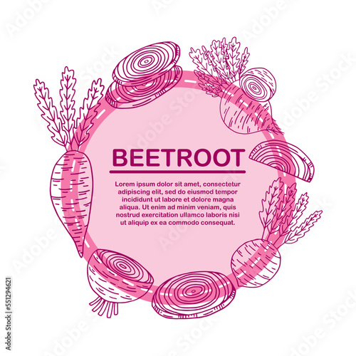 Round frame, bright purple ripe beetroot, root crop, copy space, vector illustration in cartoon style on a white background