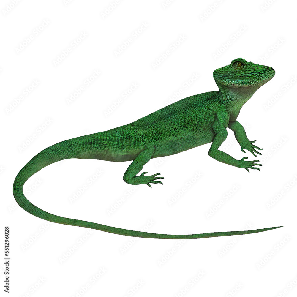 Fototapeta premium Green Lizard Reptiles Digital Art By Winters860 Isolated, Transparent Background