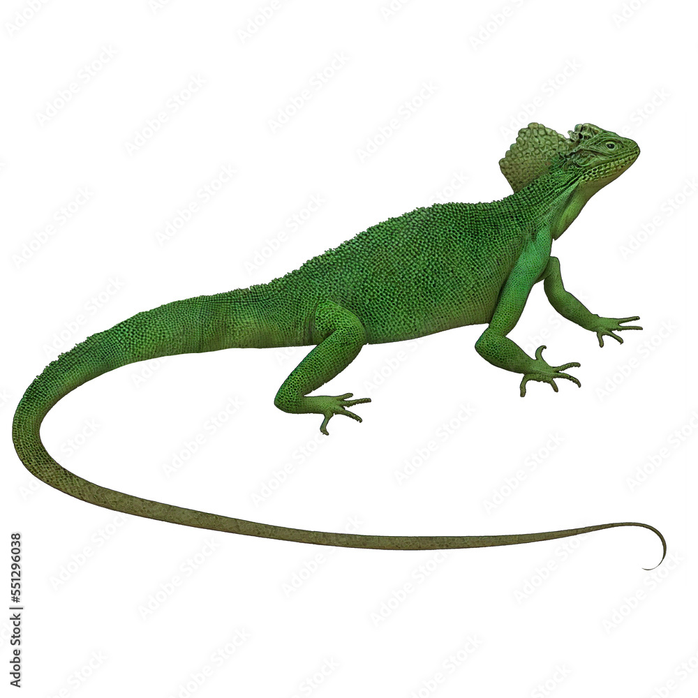 Fototapeta premium Green Lizard 2 Reptiles Digital Art By Winters860 Isolated, Transparent Background 