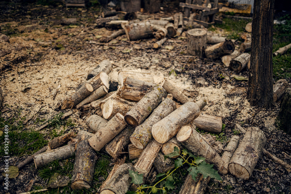 Cut logs on a pile outside on country. Cut logs on a pile outside on country.