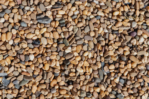 The area is sprinkled with small pebbles in yellow-brown tones for the background. There is a small piece of leaf Taken in daylight  natural light