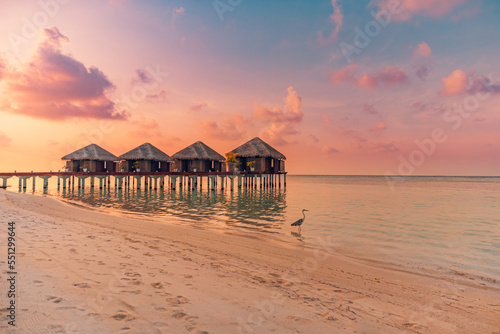 Amazing beach landscape. Beautiful Maldives sunset seascape view. Horizon colorful sea sky clouds, over water villa pier pathway. Tranquil island lagoon, tourism travel background. Exotic vacation 