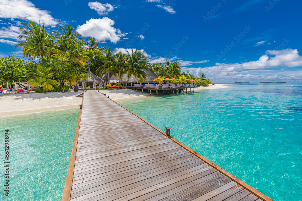Fototapeta premium Best summer travel. Maldives islands, tropical paradise coast, palm trees, sandy beach with wooden pier bridge. Exotic vacation destination scenic, beach background. Amazing sunny sky sea, fantastic