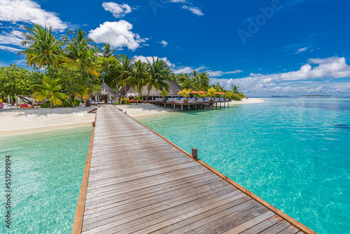 Best summer travel. Maldives islands  tropical paradise coast  palm trees  sandy beach with wooden pier bridge. Exotic vacation destination scenic  beach background. Amazing sunny sky sea  fantastic