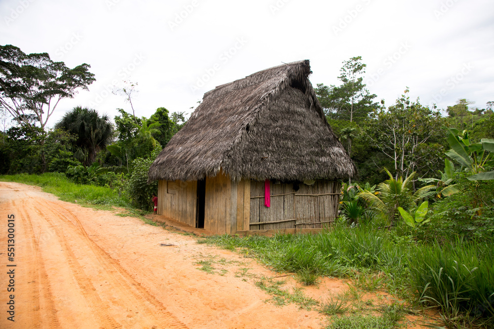 Views from the streets and houses in a town in the Amazonian region in Peru close to Yurimaguas City. Views from the streets and houses in a town in the Amazonian region in Peru close to Yurimaguas City.