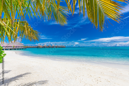 Fototapeta Naklejka Na Ścianę i Meble -  Luxury hotel with water villas and palm tree leaves over white sand, close to blue sea, seascape. Beach chairs, beds with white umbrellas. Summer vacation and holiday, beach resort on tropical island
