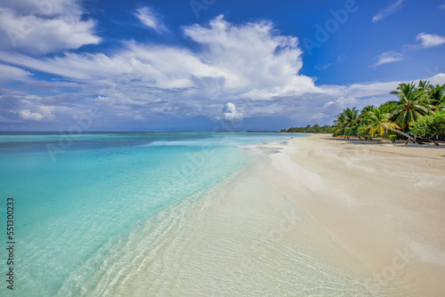 Best summer beach landscape. Tranquil tropical island, paradise coast, sea lagoon, horizon, palm trees and sunny sky over sand waves. Amazing vacation landscape background. Beautiful holiday beach 