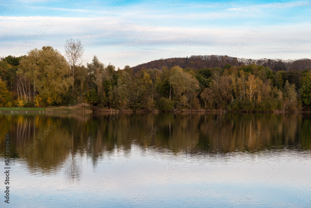 Reflecting autumn trees in a water pond, Rotselaar, Belgium Reflecting autumn trees in a water pond, Rotselaar, Belgium