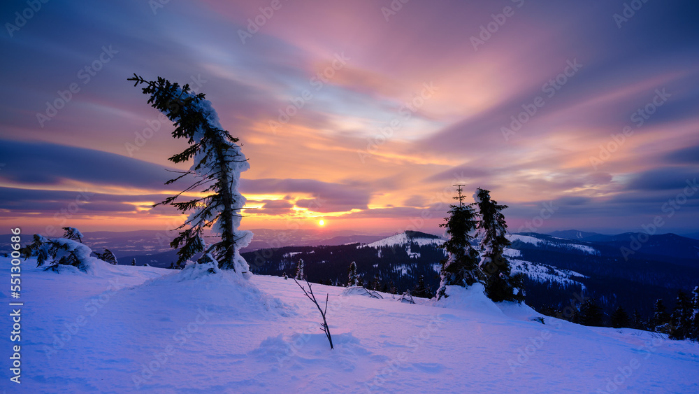 Farbiger Sonnenuntergang mit Bäumen und Schnee im Winter. Farbiger Sonnenuntergang mit Bäumen und Schnee im Winter.