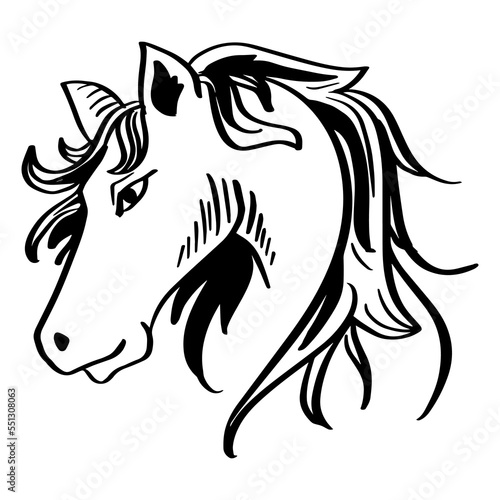 Sketch horse head hand drawing illustration