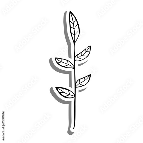 Monochrome leaves on white silhouette and gray shadow. Vector illustration for decoration or any design.