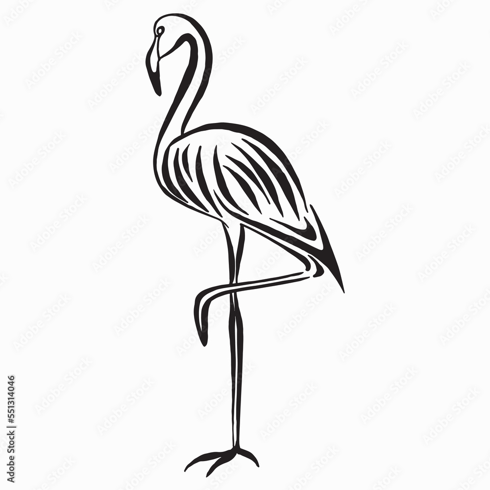 Fototapeta premium Flamingo standing on one leg. Sketch. Vector illustration isolated on white background. Black and white linear drawing. Calligraphy image.