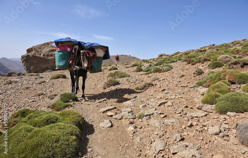 Wallpaper Mural La grande traversée de l’Atlas au Maroc, 18 jours de marche. Chemin des transhumances, découvertes des gouffres, Tizi N'Asdrem, vallée de la Tessaout, village de Tasgaiwalt. Torontodigital.ca