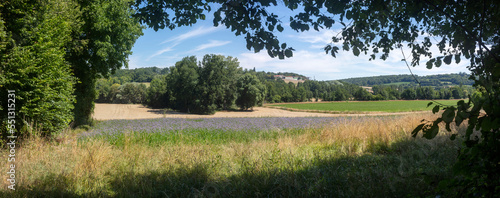 Walking trail between La ferte-sous-Jouarre et Orly-sur-Morin along the petit morin river -  Seine-et-Marne - Île-de-France - France photo