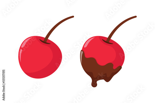 chocolate dipped cherry fruit illustration design