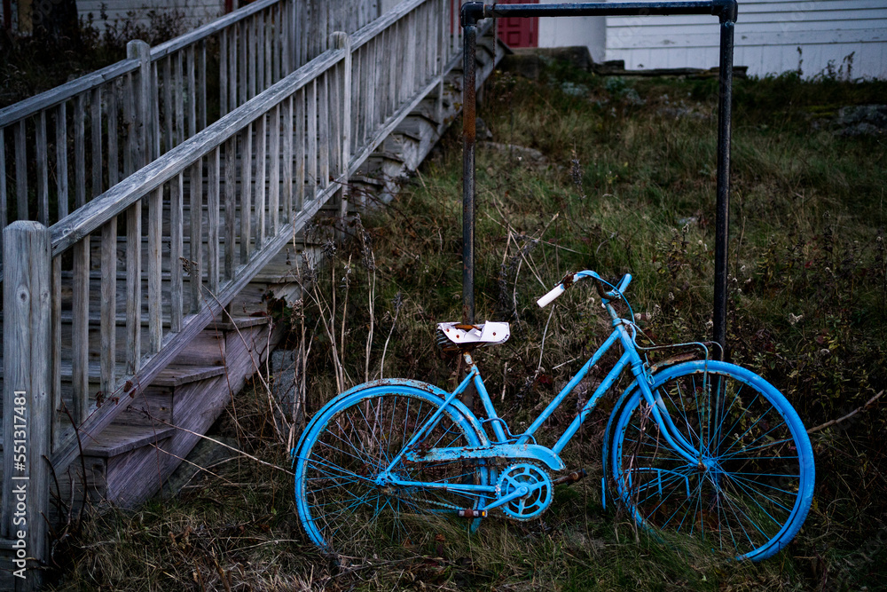 Blue bicycle parked in the weeds Blue bicycle parked in the weeds