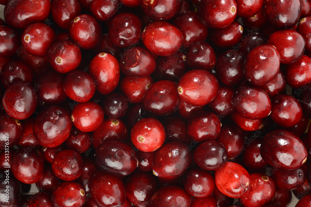 closeup cranberries making a seamless background closeup cranberries making a seamless background