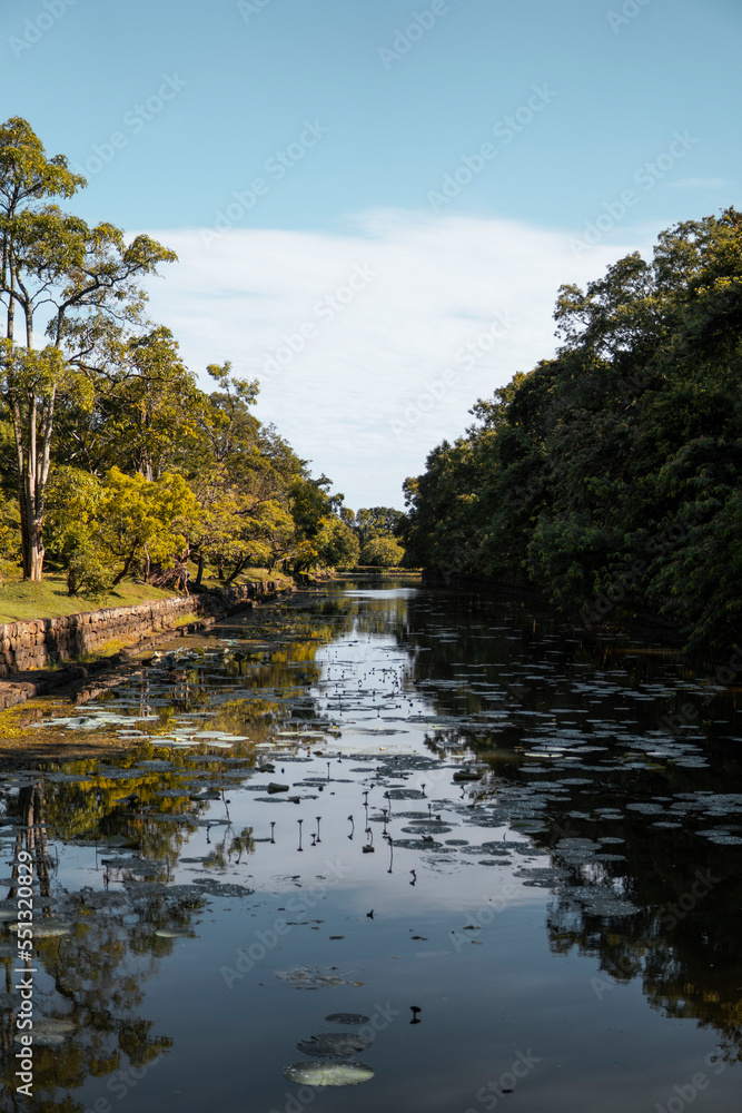 Río en el templo de la roca del león en Sri Lanka