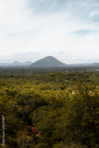 Obraz na płótnie Montaña en mitad de un bosque en Sri Lanka w salonie
