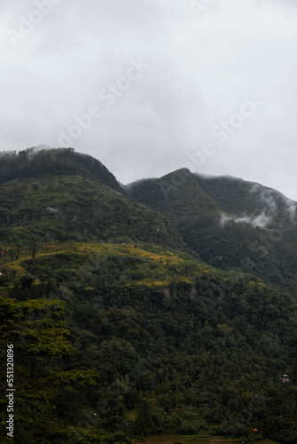 Paisaje verde con bruma en Sri Lanka