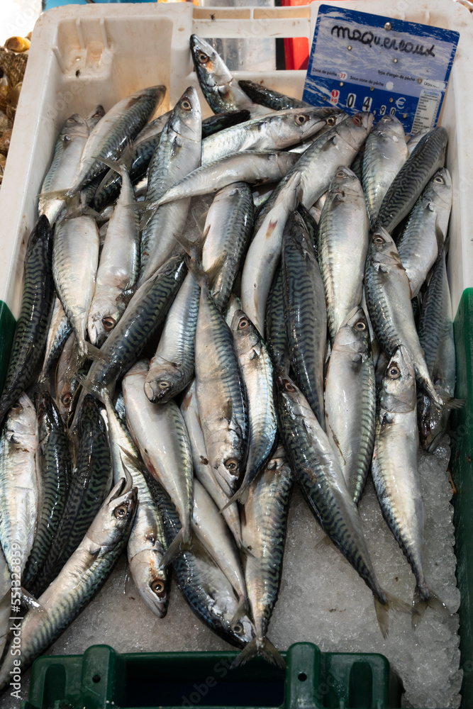 Fototapeta premium Mackerels on fish stall in the market of Sanary-sur-mer,
