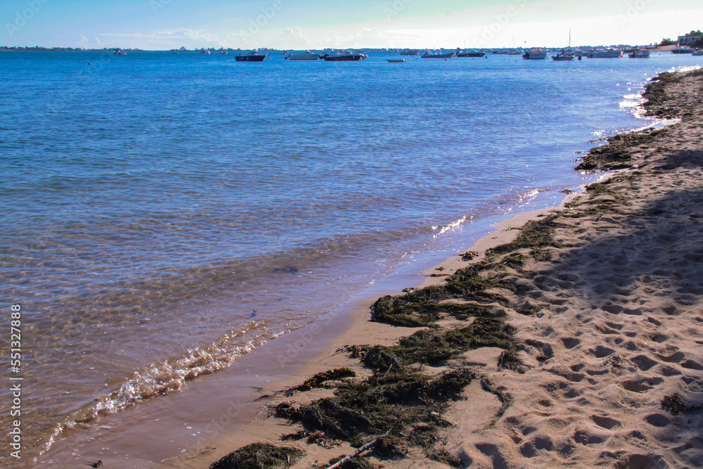 beach in the afternoon