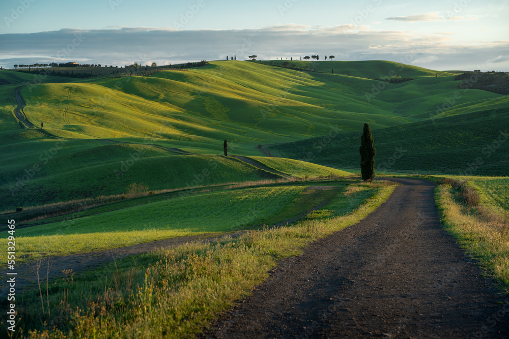View of the Tuscan hills. Val d'Orcia at dawn sunset. Italian holidays. Ring cypress trees. Florence. Colorful fields near Asciano. Siena Province