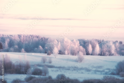 forest in hoarfrost on a hill one frosty winter morning © Lana Kray