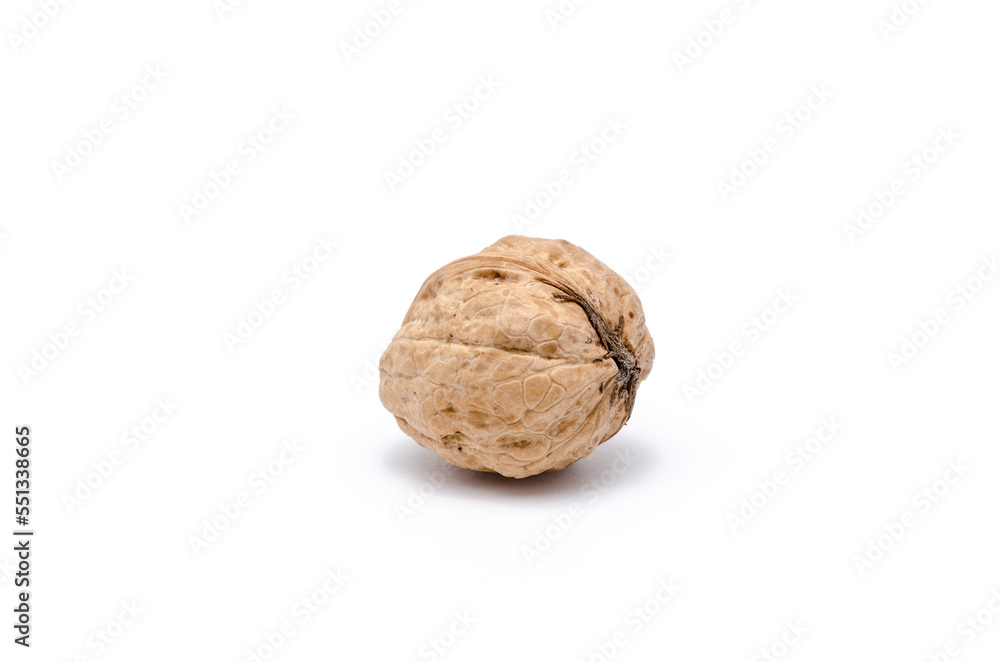 One single walnut isolated on white background One single walnut isolated on white background