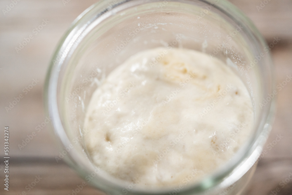 Sourdough starter Sourdough starter