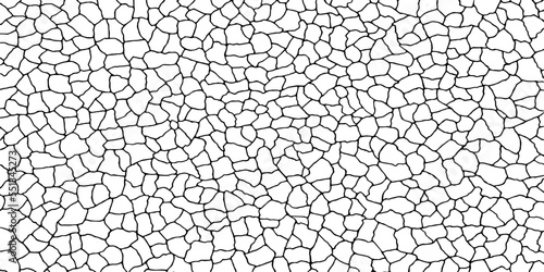 Cracked ground surface texture. Vector illustration. Monochrome background of coarse soil