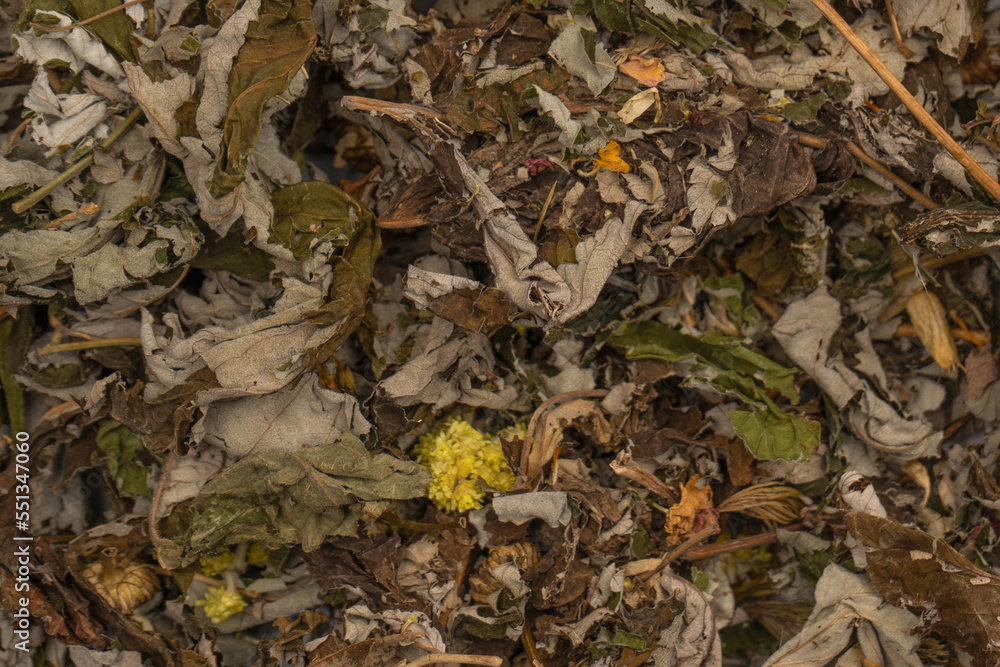 Dry tea leaves as a background. Dry tea leaves as a background.