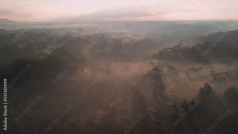 Rice terraces on slopes in tropical forest in Vietnam. Beautiful sunrise with mist and sun rays visible. Aerial view, drone shot Rice terraces on slopes in tropical forest in Vietnam. Beautiful sunrise with mist and sun rays visible. Aerial view, drone shot