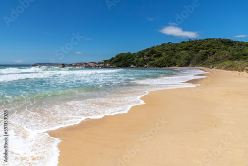 Waves and vegetation in Quatro Ilhas beach