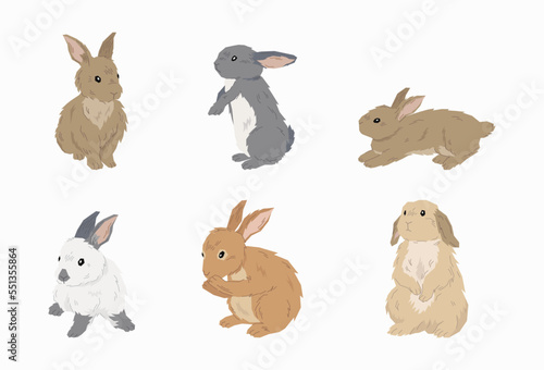 Cute Rabbit vector in flat design