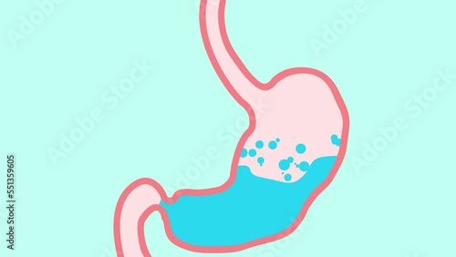 Bloating digestion system color icon. bloating digestion system sign. isolated symbol illustration