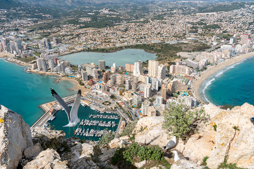 Aerial view of Calpe from the top of Peñón de Ifach photo