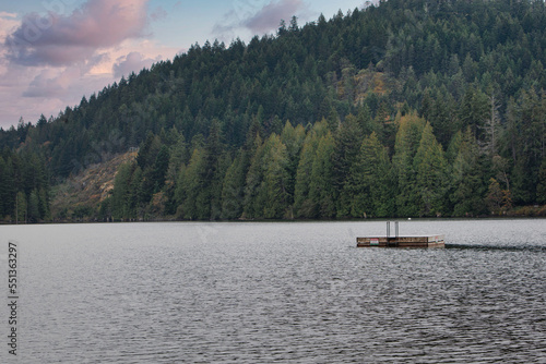 A dock in the middle of a lake in the forest