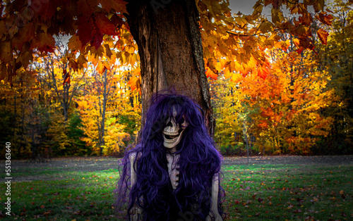 Fall 2022 - This female skeleton with a purple wig is sitting under a maple tree during autumn