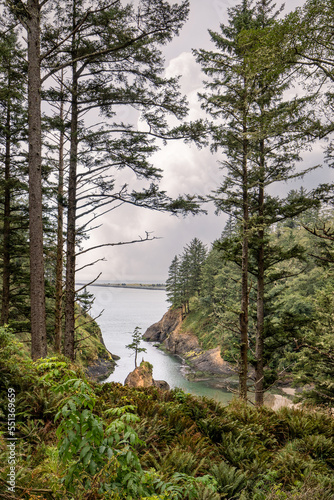 Deadman's Cove in Washington photo