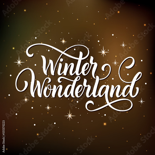 Winter wonderland handwritten text with stars and snowflakes. Hand lettering typography. Modern brush ink calligraphy. Vector illustration as greeting card, banner, poster, logo. Season's greeting